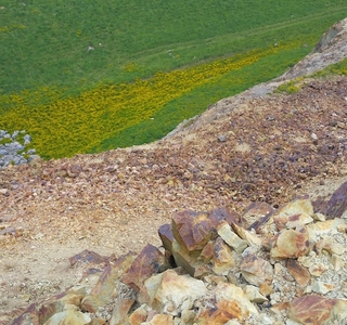 Looking at the damage down the side of the mountain - view from the top