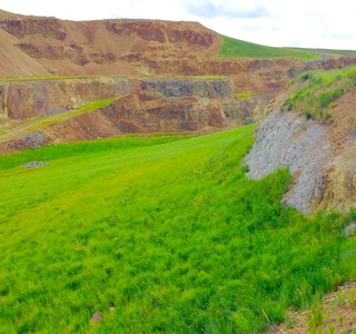  Bright grass and a view of the side of the mined mountain damage