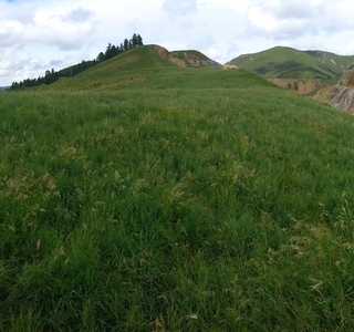  A panoramic view of the mine and the mountain