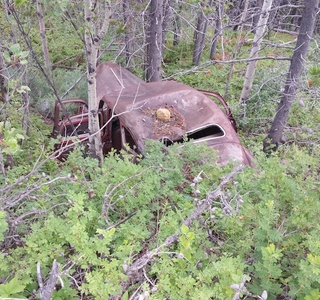  Abandoned rusted out car in the woods